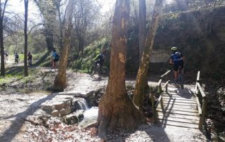 Single Pitch Climbing in Tarragona Region