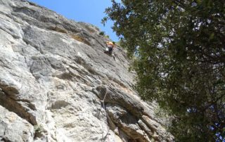 Single Pitch Climbing