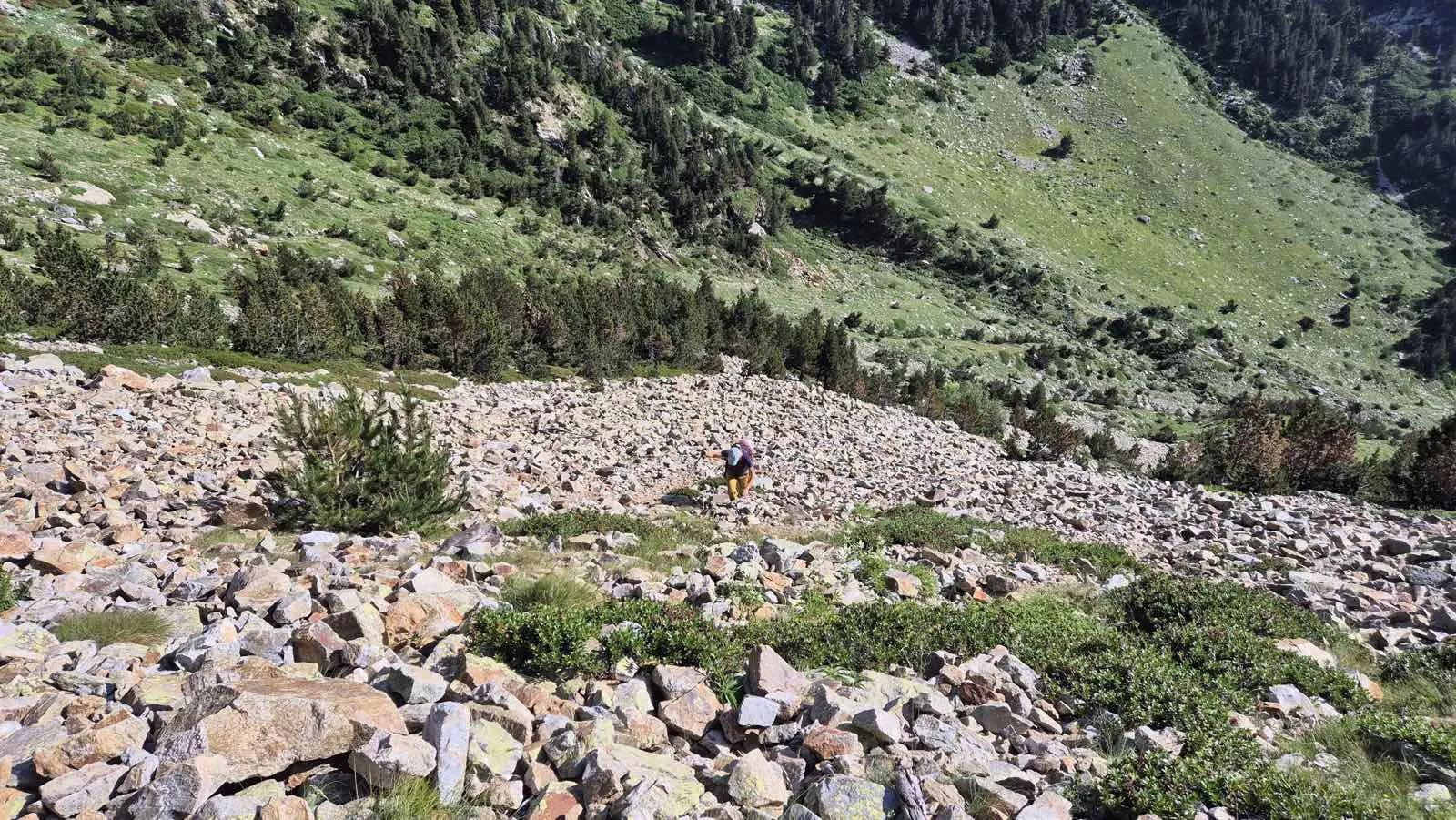 Escalada classica alpina amb somguies
